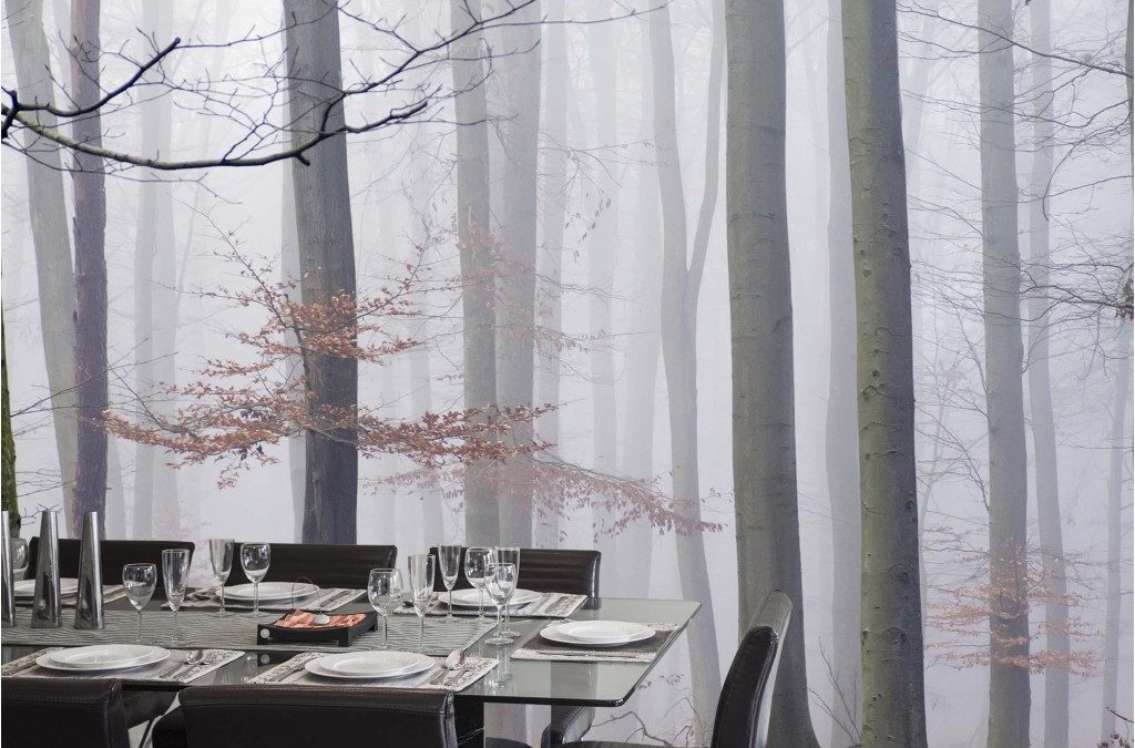 Brume du Matin