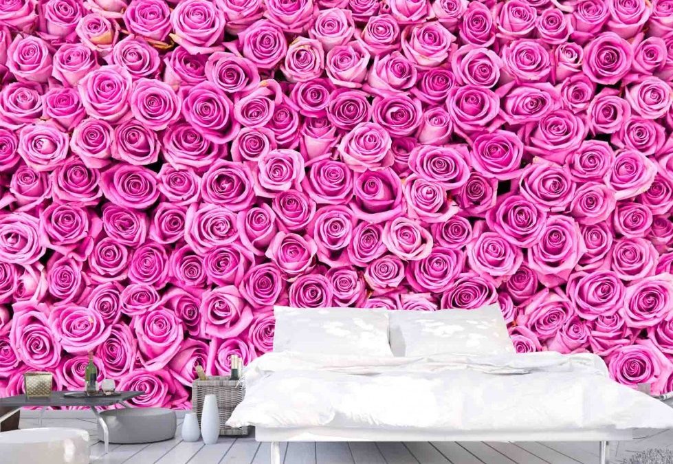 Boutons de Roses