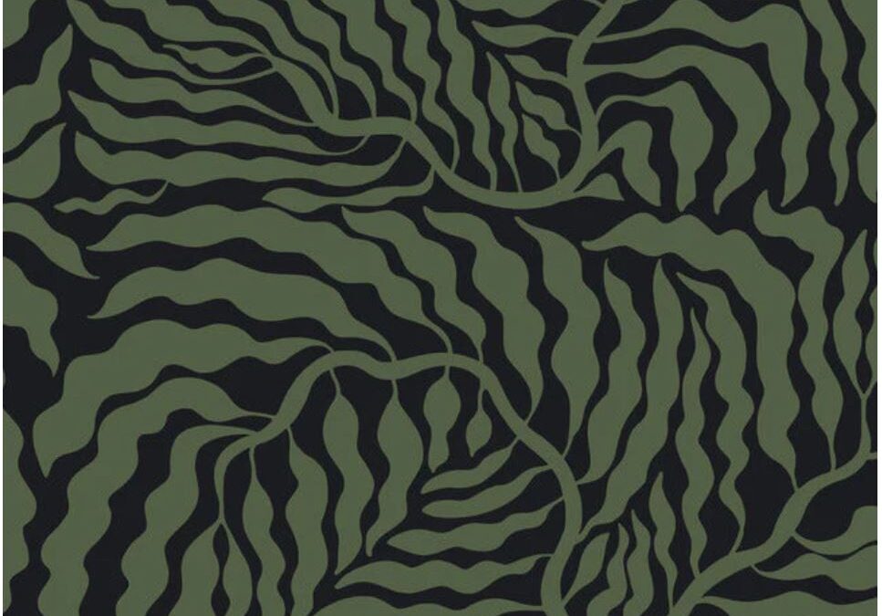 Papier peint | Fern Fronds